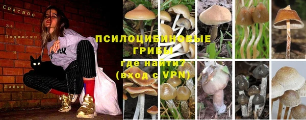 прущая мука Балахна