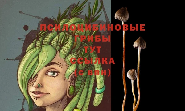 метадон Балабаново