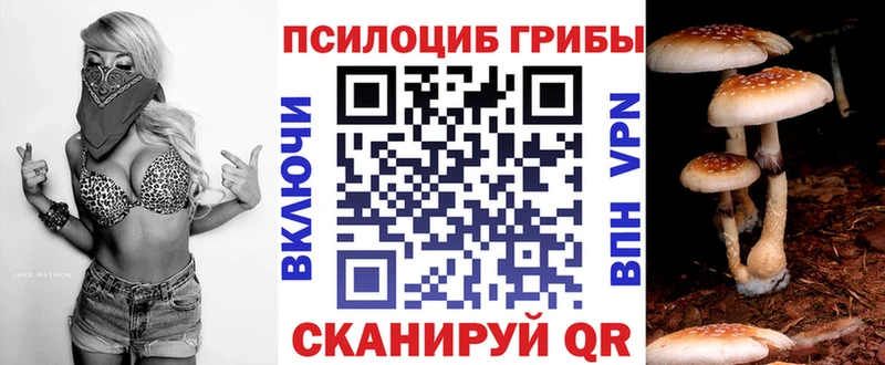 продажа наркотиков  Уварово  Псилоцибиновые грибы Magic Shrooms 